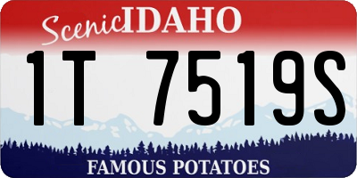 ID license plate 1T7519S