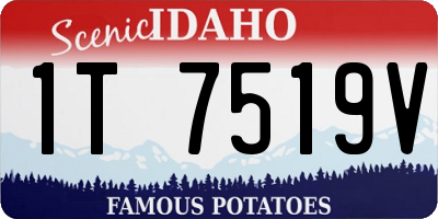 ID license plate 1T7519V