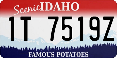 ID license plate 1T7519Z