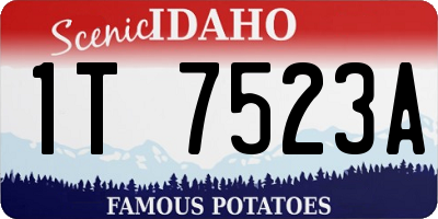 ID license plate 1T7523A