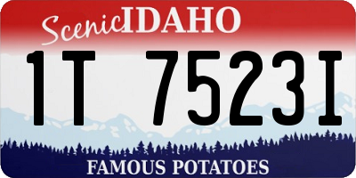ID license plate 1T7523I