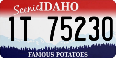ID license plate 1T7523O
