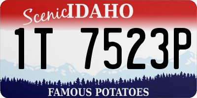 ID license plate 1T7523P