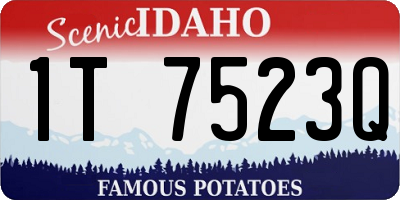 ID license plate 1T7523Q