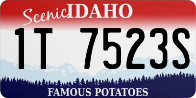 ID license plate 1T7523S