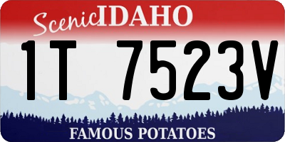ID license plate 1T7523V