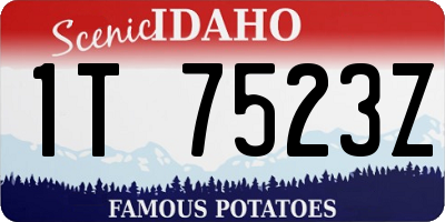 ID license plate 1T7523Z