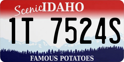 ID license plate 1T7524S