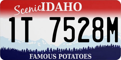 ID license plate 1T7528M