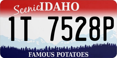 ID license plate 1T7528P