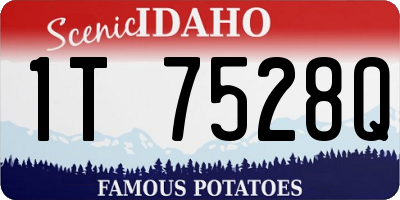 ID license plate 1T7528Q