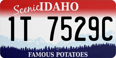 ID license plate 1T7529C