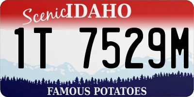 ID license plate 1T7529M