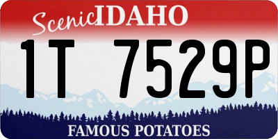 ID license plate 1T7529P