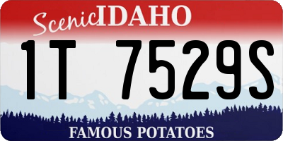 ID license plate 1T7529S