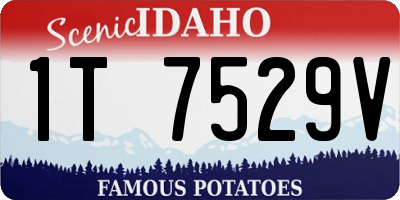 ID license plate 1T7529V