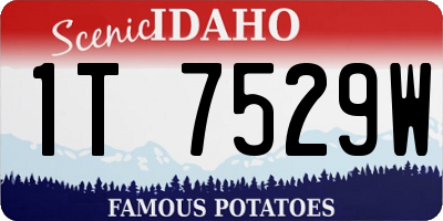 ID license plate 1T7529W