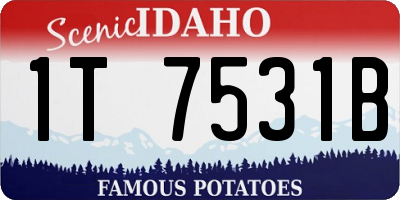 ID license plate 1T7531B