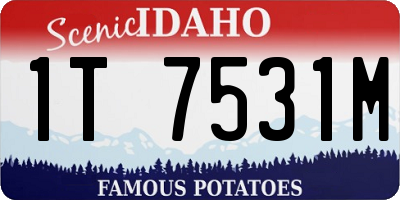 ID license plate 1T7531M