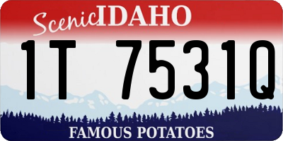 ID license plate 1T7531Q