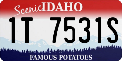 ID license plate 1T7531S