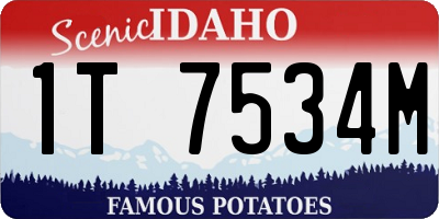 ID license plate 1T7534M
