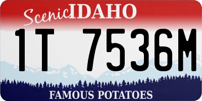 ID license plate 1T7536M
