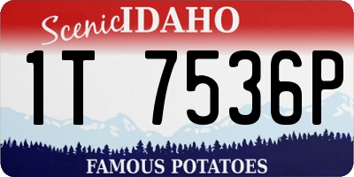 ID license plate 1T7536P