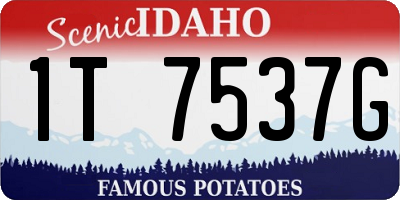 ID license plate 1T7537G