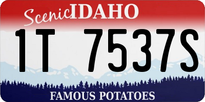 ID license plate 1T7537S
