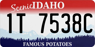 ID license plate 1T7538C