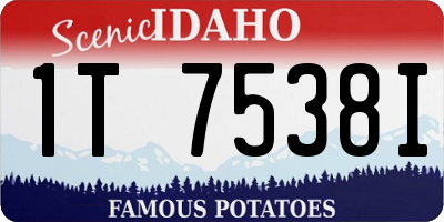 ID license plate 1T7538I