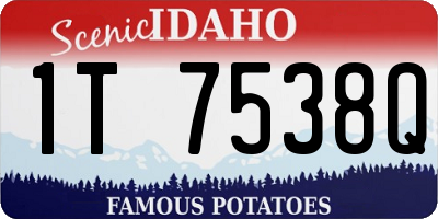 ID license plate 1T7538Q