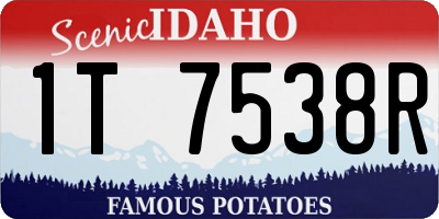 ID license plate 1T7538R