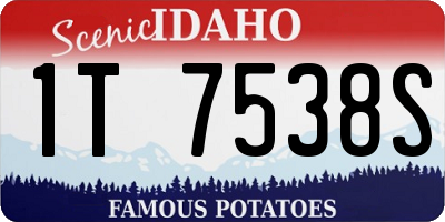 ID license plate 1T7538S