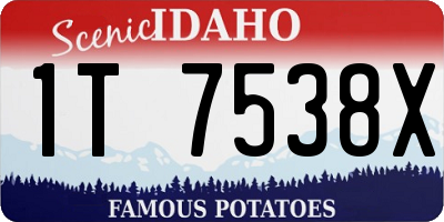 ID license plate 1T7538X