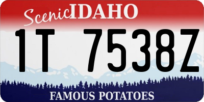 ID license plate 1T7538Z