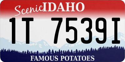 ID license plate 1T7539I