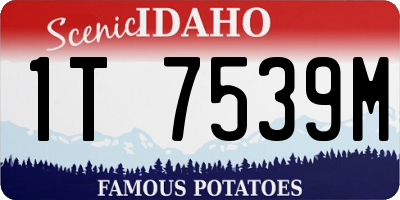 ID license plate 1T7539M