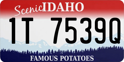 ID license plate 1T7539Q