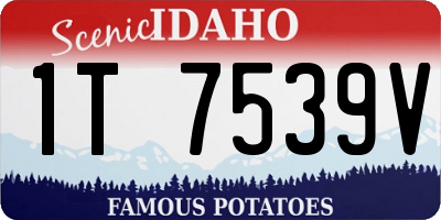 ID license plate 1T7539V