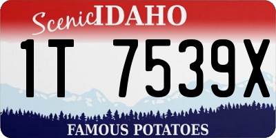 ID license plate 1T7539X