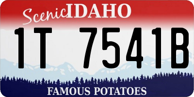ID license plate 1T7541B