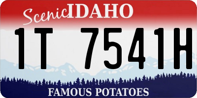 ID license plate 1T7541H