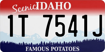 ID license plate 1T7541J