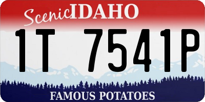 ID license plate 1T7541P