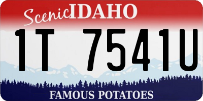 ID license plate 1T7541U