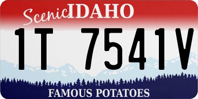 ID license plate 1T7541V