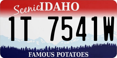 ID license plate 1T7541W