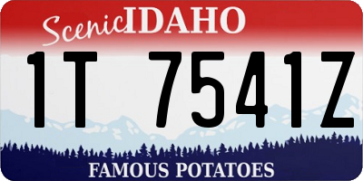 ID license plate 1T7541Z